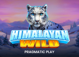 Himalayan Wild : PragmaticPlay