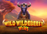 Wild Wildebeest Wins : PragmaticPlay